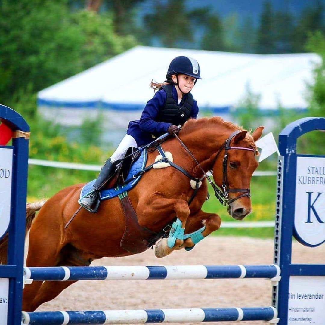 Norwegian Horse Festival 2019